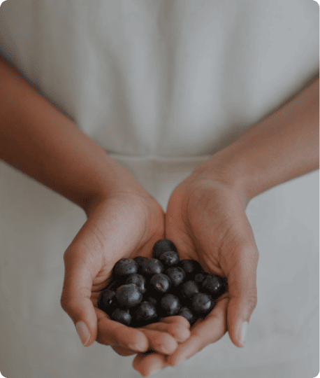 Digestion/Gut Health